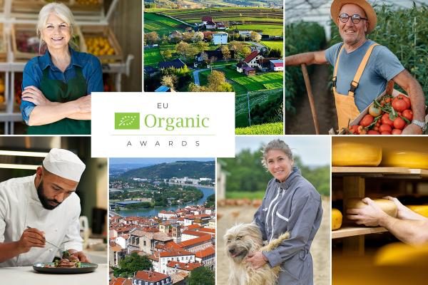 Agromakers 2026 Estudiantes Santafesinos Presentaron 45 Proyectos De Innovaci N Y Emprendimiento